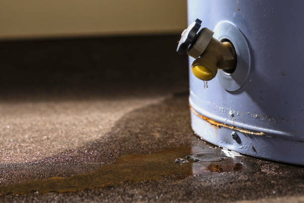 Best Water damage repair service  in Aust, IN