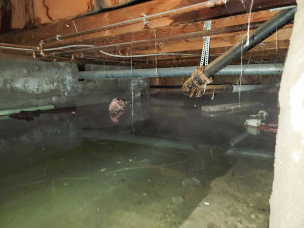 Best Ceiling water damage repair  in Aust, IN