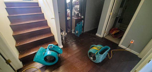 Reliable Austin, IN Water damage restoration Solutions