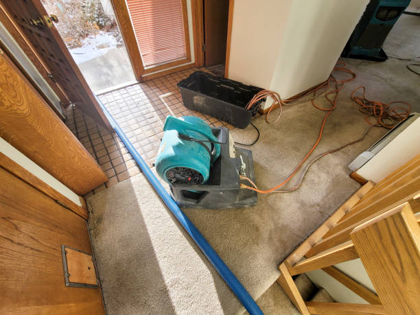 Best Local water damage restoration  in Aust, IN