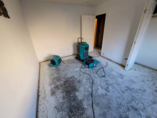 Best Water damage restoration mold remediation  in Aust, IN