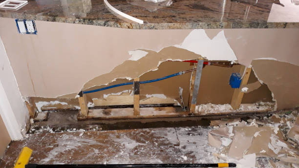 Best Flooded house restoration  in Aust, IN