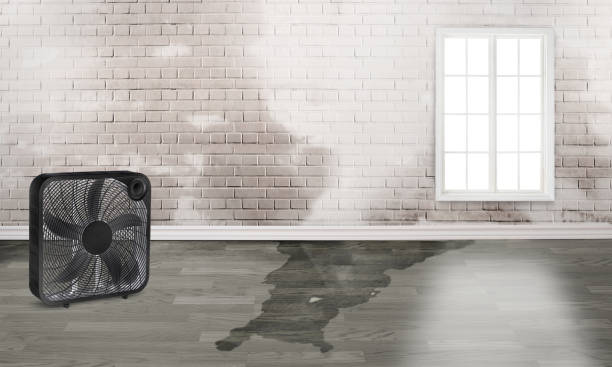 Best Commercial water damage restoration  in Aust, IN
