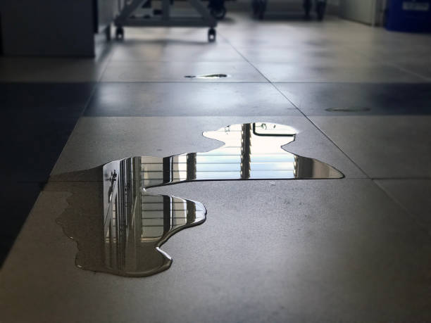 Best Water damage restoration insurance claims  in Aust, IN
