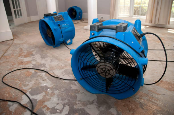 Best 24/7 water damage repair  in Aust, IN