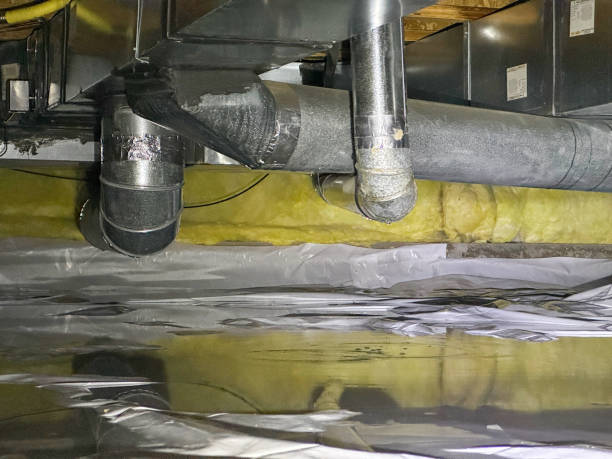 Best Sewage cleanup and water damage restoration  in Aust, IN