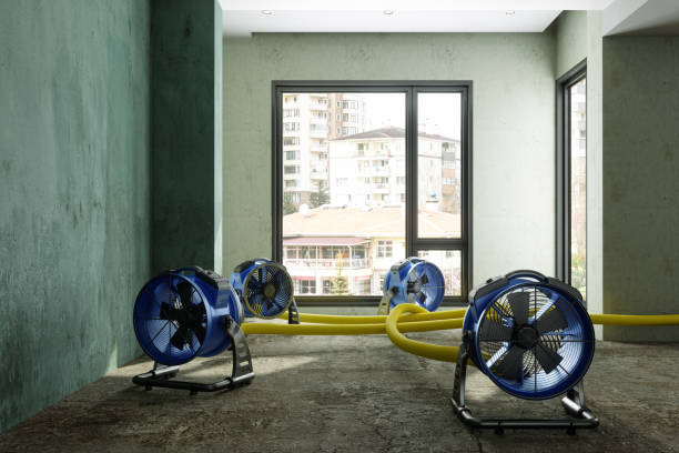 Best Water damage cleanup near me  in Aust, IN