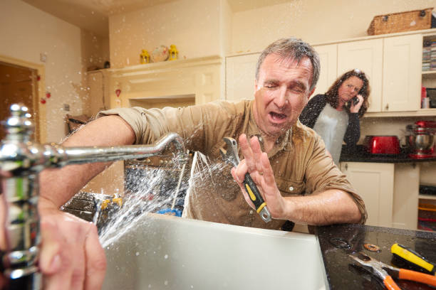Best Fire Damage Restoration  in Aust, IN